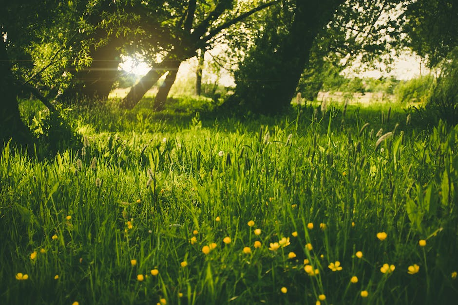  Sonnenlichtreisezeit zur Erde