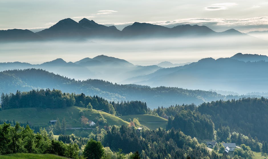  Anzahl der Bäume auf der Erde