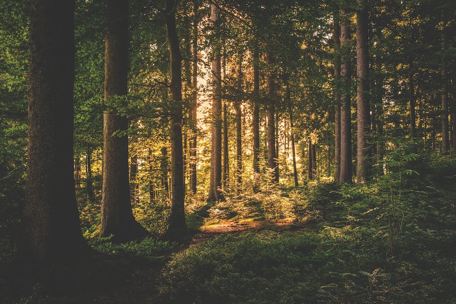  Erde Zerstörung durch Sonne