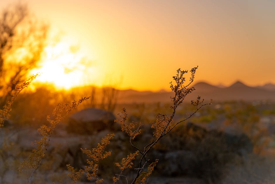 Erde zerstört von Sonne