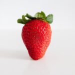 Erde fur Erdbeeren zum Wachsen und Gedeihen