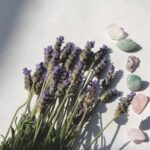 Lavendelpflanzen erfordern nährstoffreiche Erde
