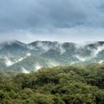 Regenwald Amazonas größter der Welt