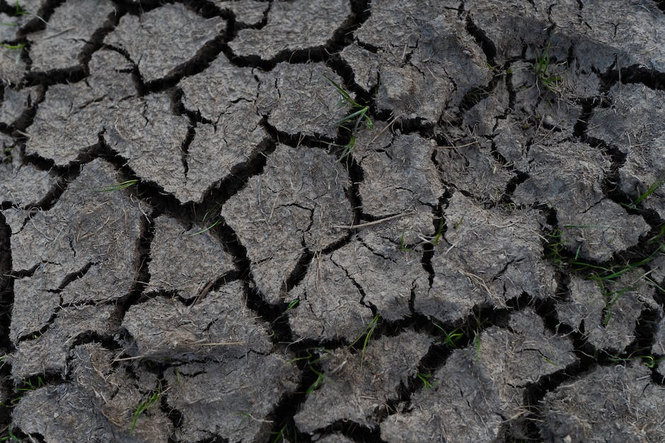 Wasserauf der Erde: Ursprünge und Verteilung